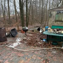 Wooded property, outbuildings cleared — cleanout photo
