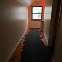 Large home, heavy accumulation — cleanout photo
