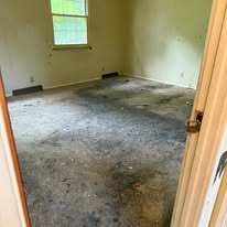 Family home, deep cleanout — cleanout photo