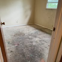 Family home, deep cleanout — cleanout photo